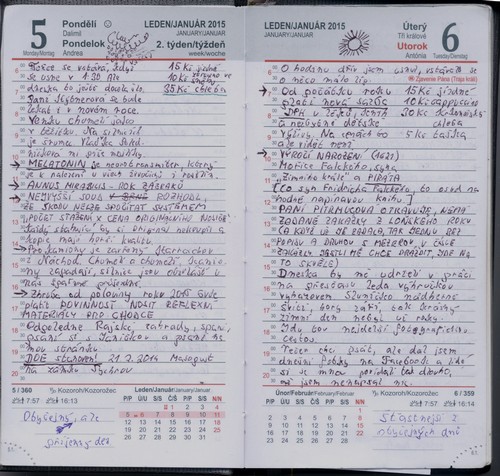 Hust popsan dvojstrana v diku