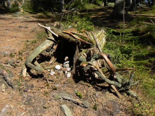 Domeek pro lesn sktky