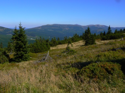 Pohled na Krknoe z bo Krkonoe