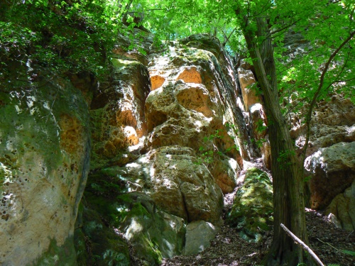 Plan dl u Stezivojic