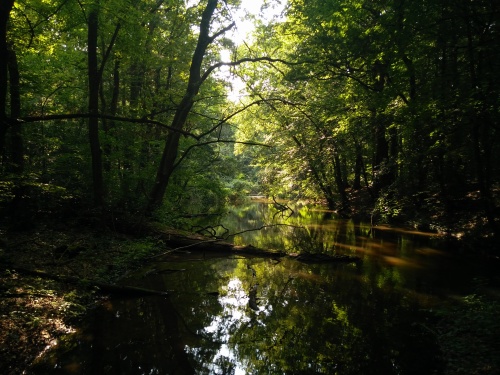 Postrann rameno Labe v Povskm luhu