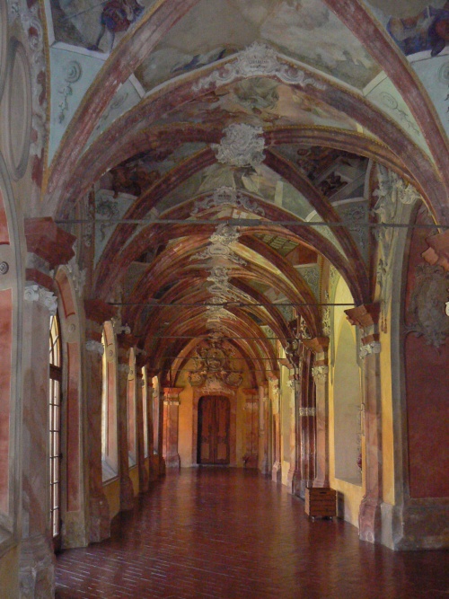 Ambit kltera Zlat Koruna