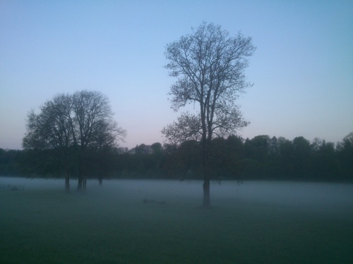 Pzemn mlha u Labe v zatce u kolky