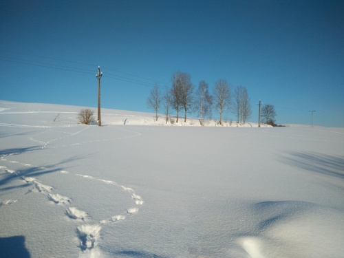 Cesta od Lenky k Alence pod sněhem