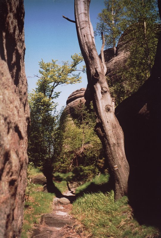 broumovske01.jpg, 120 kB