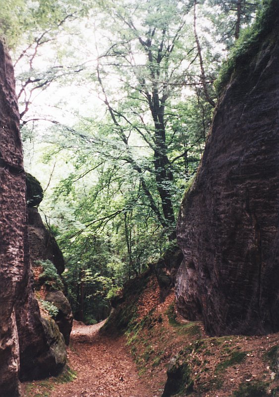 kokorinsky.jpg, 144 kB