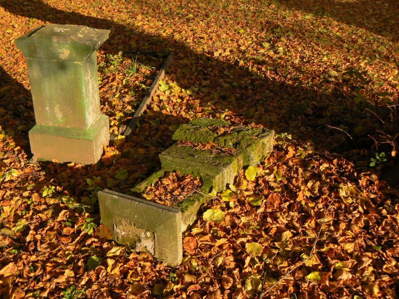 Jeden nhrobek tak tak stojc a druh zcen v zplav podzimnho list