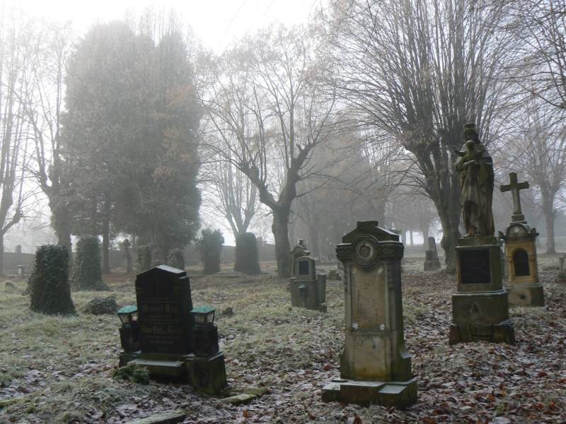Tajupln vypadajc oputn hroby a ediv mlha, v n jsou vidt stromy bez list