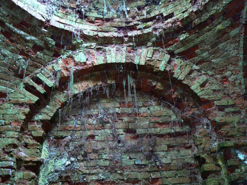 Obrázek ze zchátralé hrobky - oblouk z rozdrolených cihel, porostlých zelenými provazci plísně