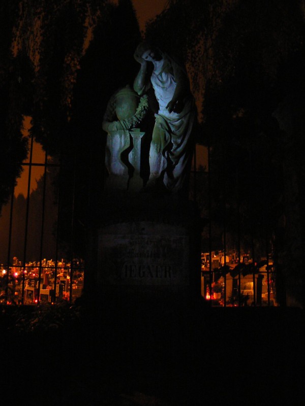 Tajemn dvka uprosted stnu