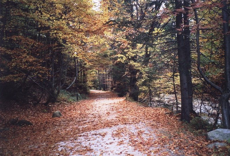 udoli_labe.jpg, 161 kB