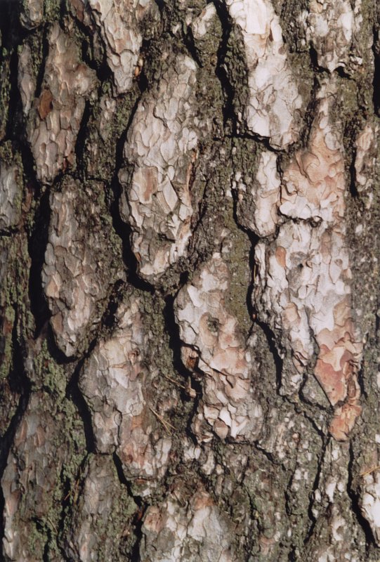 pricnicka03.jpg, 139 kB