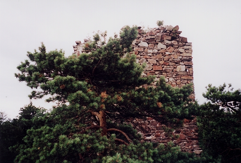 zubstejn.jpg, 344 kB