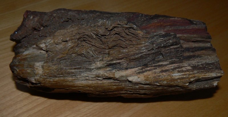 kuriozita10.jpg, 70 kB