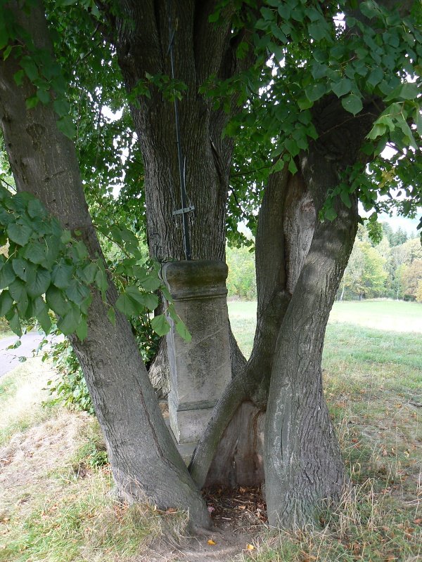 kuriozita3.jpg, 167 kB