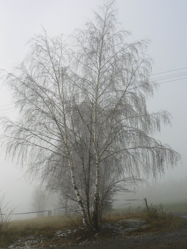 kuriozita7.jpg, 114 kB