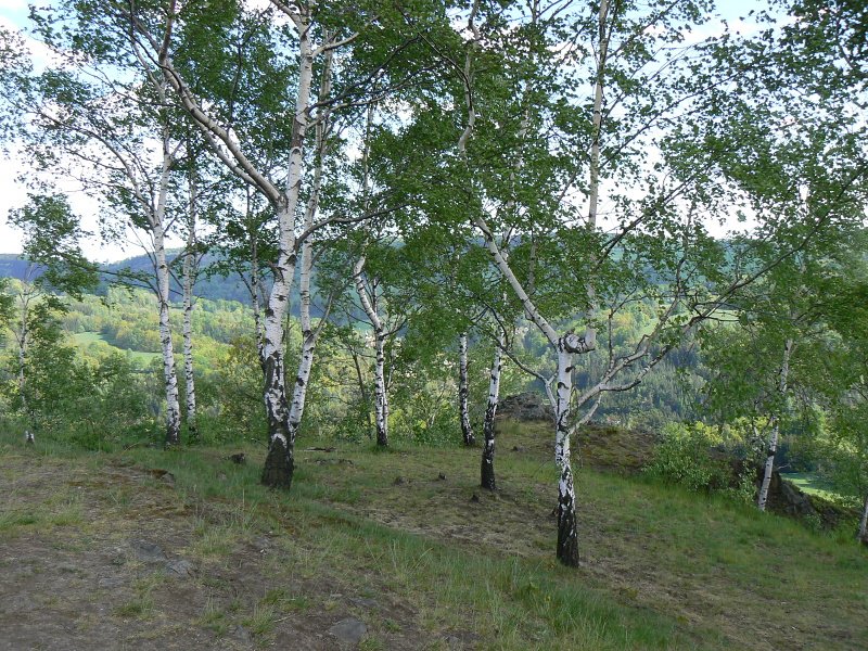 kuriozita8.jpg, 211 kB