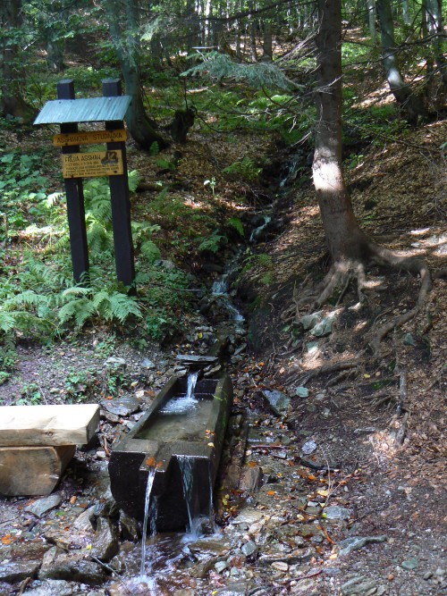 Krsn studnka v krsnm lese blzko Harrachovch kamen