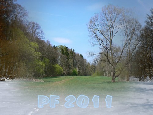 PF 2011