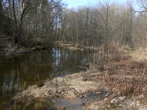 Tn na soutoku Labe a Principlku