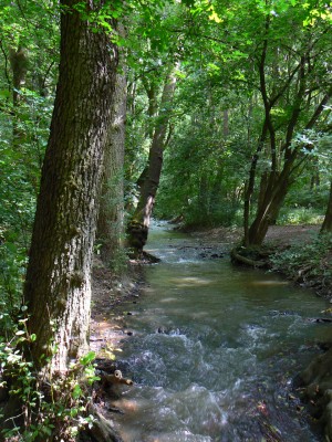 ntick potok zakalen splaky v Tichm dol u Roztok