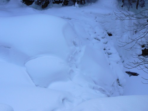 Zachumelen vodopd Blho Labe