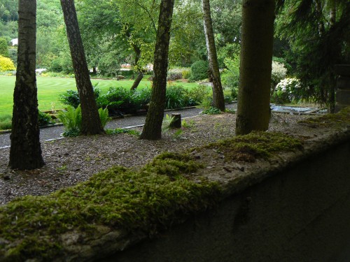 Zahrada, skrvajc se za nevldnou betonovou zd