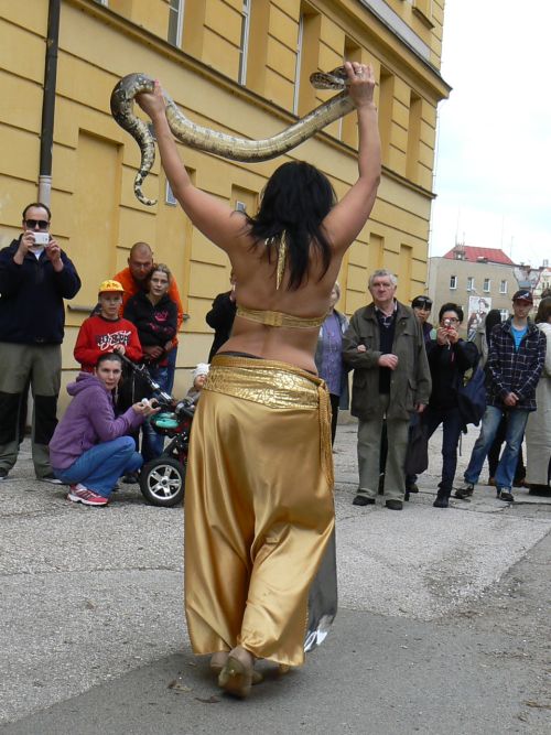 Druh tanec pan Kairy