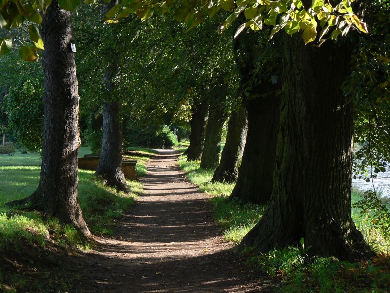 jiraskovy.jpg, 198 kB