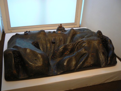 Nejstar plastick mapa Krkono