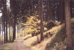 vilemov2n.jpg, 14 kB