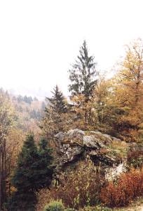 vilemov6n.jpg, 11 kB