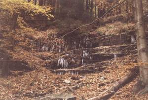 vilemov7n.jpg, 14 kB