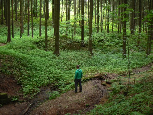Star haldy a odvaly v dol Zlatnice