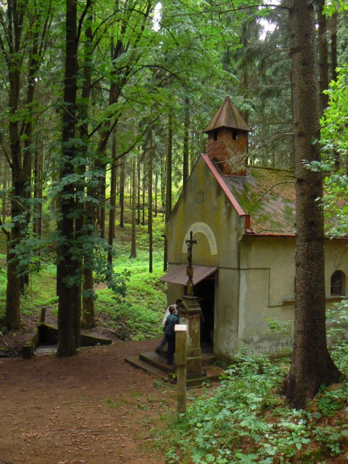 Studnka a kaplika Panny Marie v dol Zlatnice