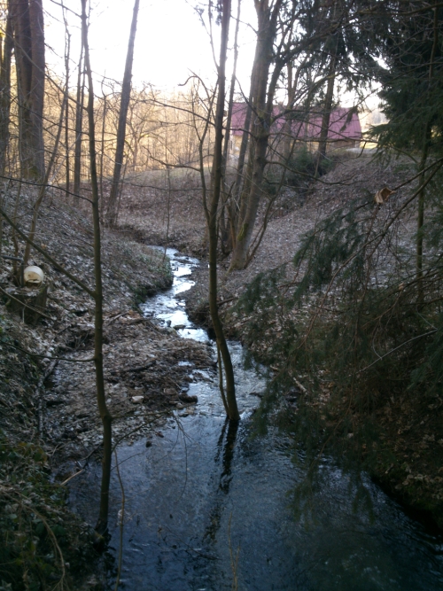 ertv mln z mstku pes Blou