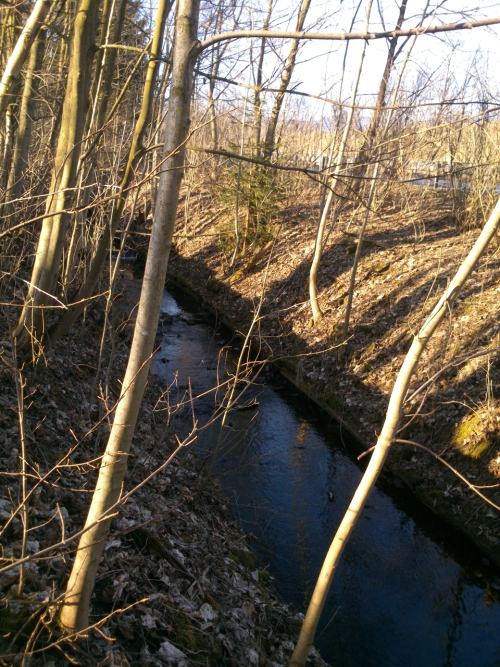 Tok Bl podl silnice 295.