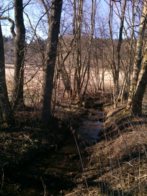 Bl za Petkovm mostem