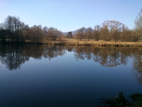 Jaro u rybnka Kovarku