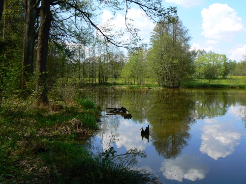 Na zelench bezch Kovarku