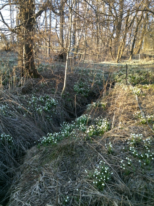 Bl skryt v moi bledulek