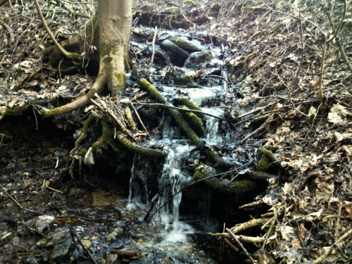 B voda b, pes koeny ust, ekla mi m mil, e m nevopust