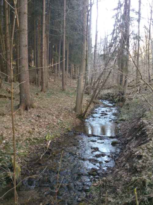 Bystr vodnka, bystr vodika... ale snad tu pro Janka dn dve plakat nebude
