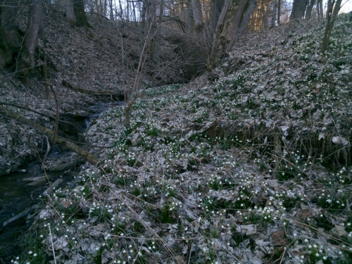 Na koukn je to tu pkn. Na chzi u hor.
