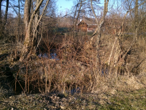 Dungle blzko mstku ve Vejsplachch