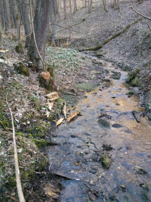 V hlubokm dol Vejsplachy