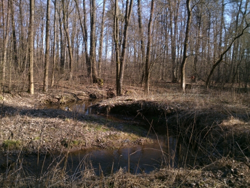 meandr Bl blzko louky U Salae