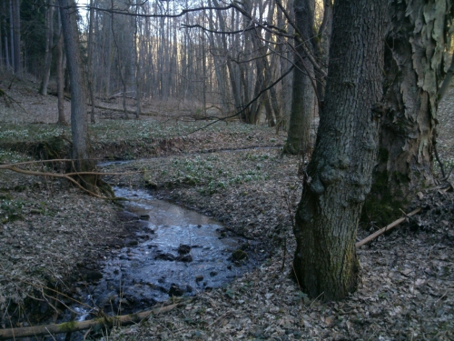 Zatky na Bl v dol Vejsplachy