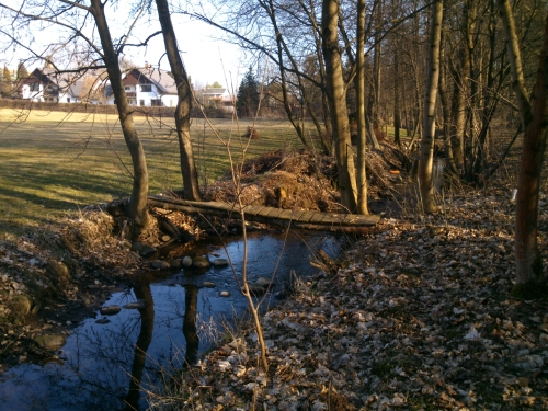 Mstek pes Blou z jedn zahrady