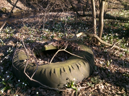 Pneumatika v bledulkch